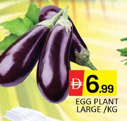 Mango available at مانجو هايبرماركت in الإمارات العربية المتحدة , الامارات - دبي
