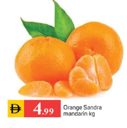Orange Mandarin available at سوق طلال in الإمارات العربية المتحدة , الامارات - الشارقة / عجمان
