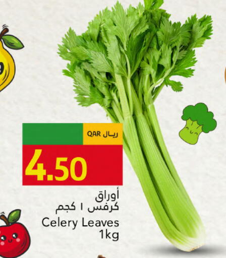 Celery available at Gulf Food Center in Qatar - Al Shamal