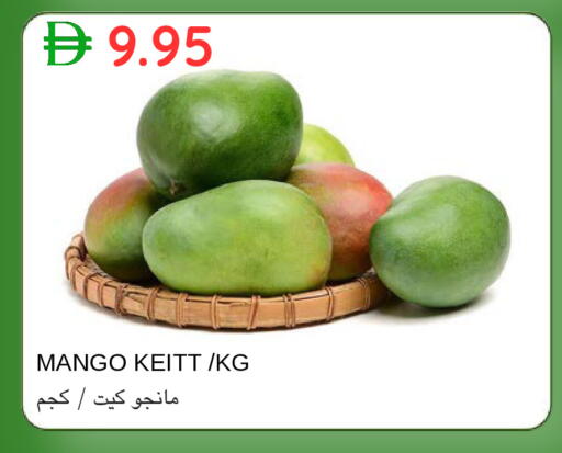 Mango available at سيليكت ماركت in الإمارات العربية المتحدة , الامارات - أبو ظبي