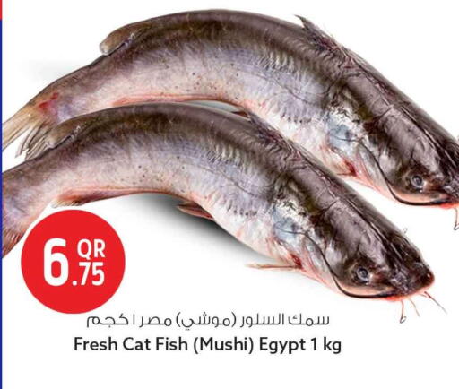 available at Safari Hypermarket in Qatar - Al Daayen