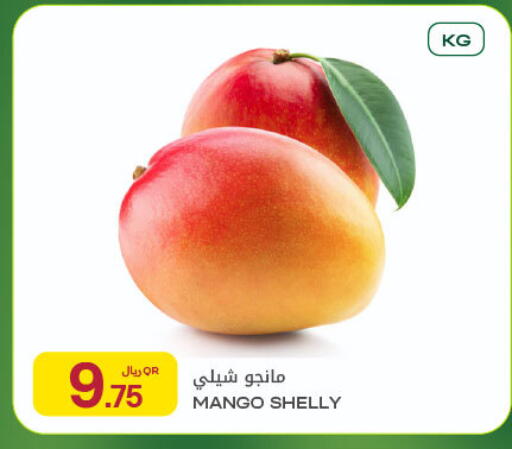 Mango available at شركة الميرة للمواد الاستهلاكية in قطر - الريان