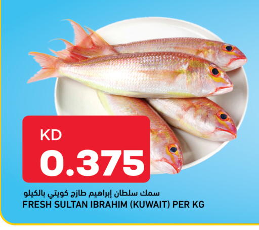 available at Gulfmart in Kuwait - Kuwait City