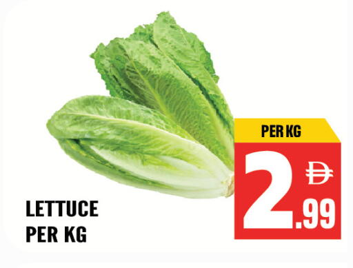 Lettuce available at Dream Land in UAE - Sharjah / Ajman