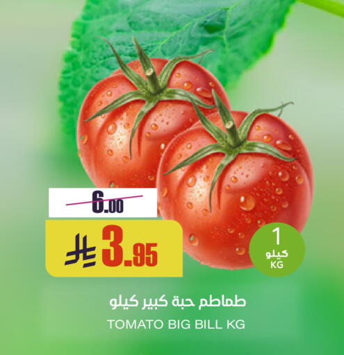 Tomato available at Sapt in KSA, Saudi Arabia, Saudi - Buraidah