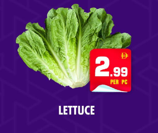 Lettuce available at نايت تو نايت in الإمارات العربية المتحدة , الامارات - الشارقة / عجمان