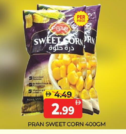 available at المدينة in الإمارات العربية المتحدة , الامارات - دبي