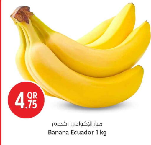 Banana from Ecuador available at سفاري هايبر ماركت in قطر - الشمال