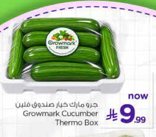 Cucumber from Ireland available at Hyper Al Wafa in KSA, Saudi Arabia, Saudi - Jeddah