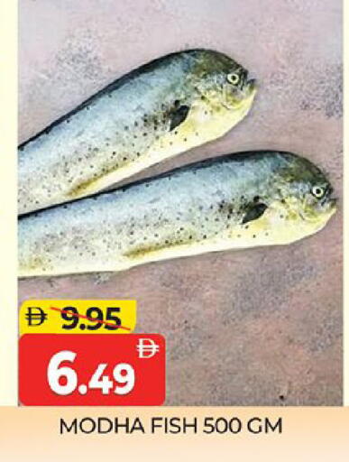 available at المدينة in الإمارات العربية المتحدة , الامارات - دبي