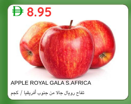 Apple available at سيليكت ماركت in الإمارات العربية المتحدة , الامارات - أبو ظبي