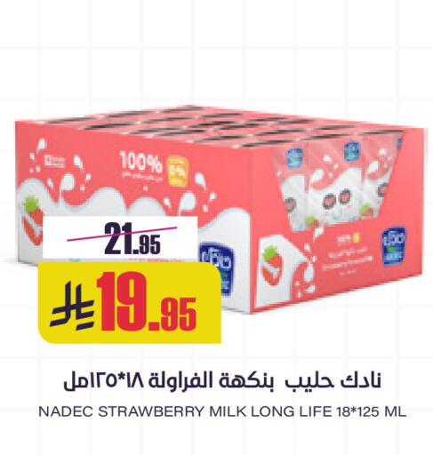 Strawberry available at سبت in مملكة العربية السعودية, السعودية, سعودية - بريدة