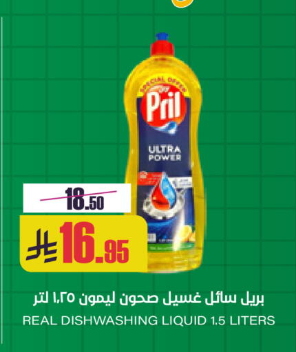 available at Sapt in KSA, Saudi Arabia, Saudi - Buraidah