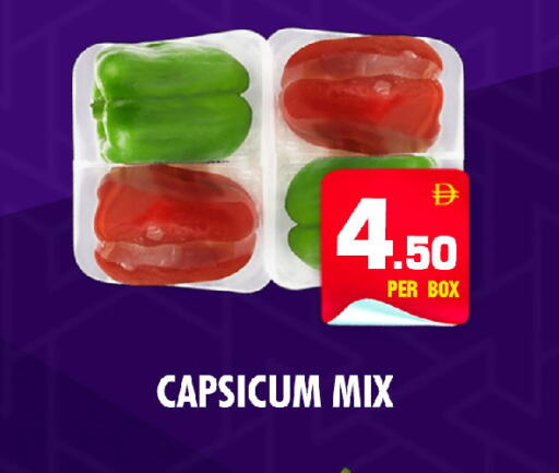 Capsicum available at نايت تو نايت in الإمارات العربية المتحدة , الامارات - الشارقة / عجمان