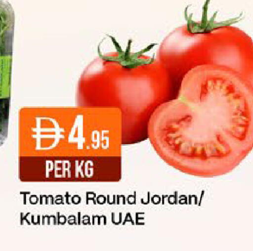 Tomato from Jordan available at ويست زون سوبرماركت in الإمارات العربية المتحدة , الامارات - دبي