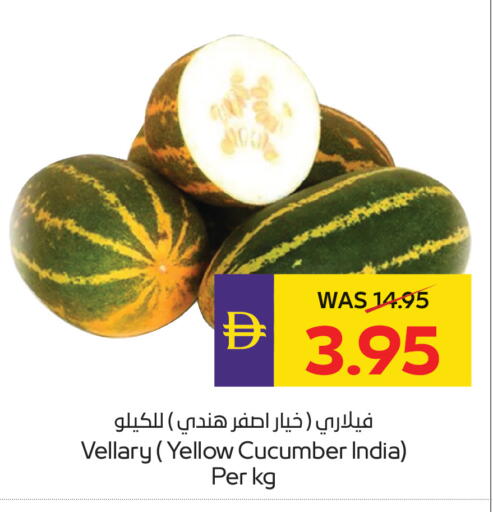 Cucumber from India available at أدكووب in الإمارات العربية المتحدة , الامارات - ٱلْعَيْن‎