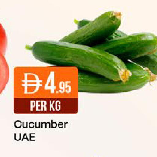 Cucumber available at ويست زون سوبرماركت in الإمارات العربية المتحدة , الامارات - دبي