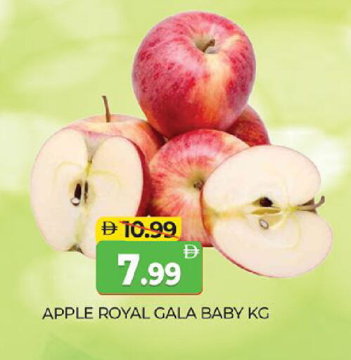 Apple available at المدينة in الإمارات العربية المتحدة , الامارات - دبي
