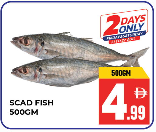 available at Dream Land in UAE - Sharjah / Ajman