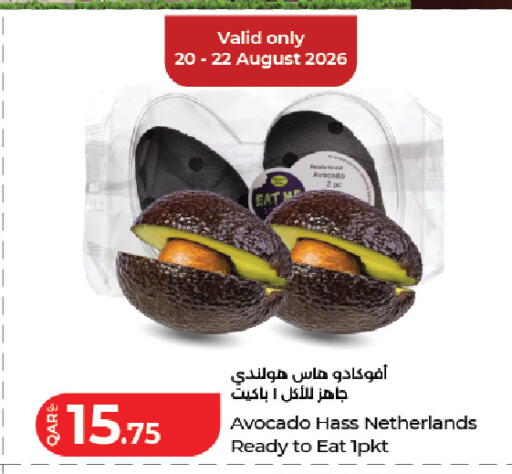 Avocado from Netherlands available at لولو هايبرماركت in قطر - الشمال