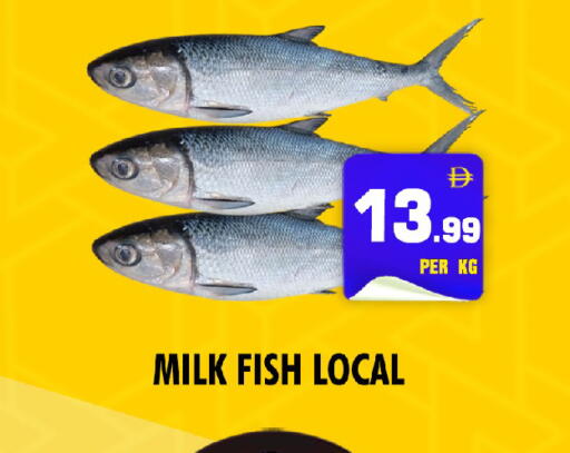 available at نايت تو نايت in الإمارات العربية المتحدة , الامارات - الشارقة / عجمان
