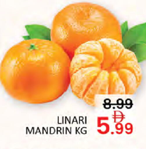 available at المدينة in الإمارات العربية المتحدة , الامارات - دبي