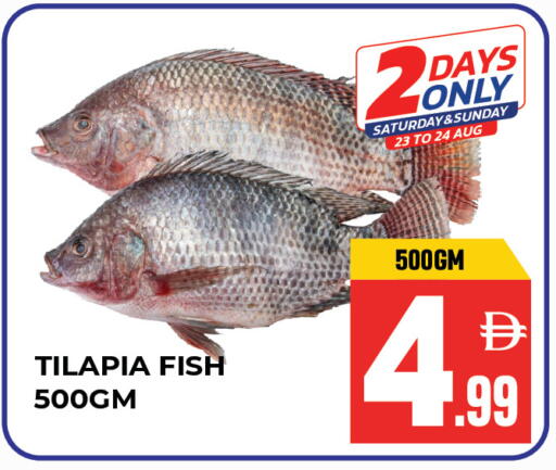 available at Dream Land in UAE - Sharjah / Ajman