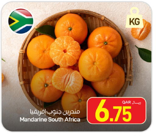 from South Africa available at ســبــار in قطر - الخور