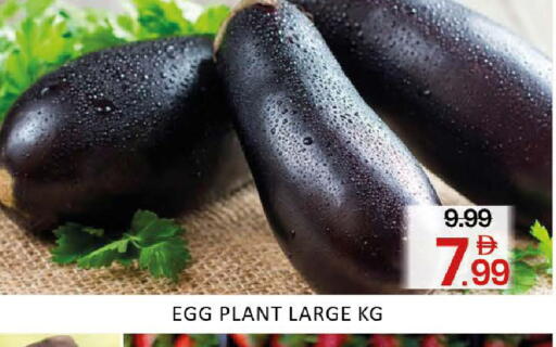 Mango available at مانجو هايبرماركت in الإمارات العربية المتحدة , الامارات - دبي