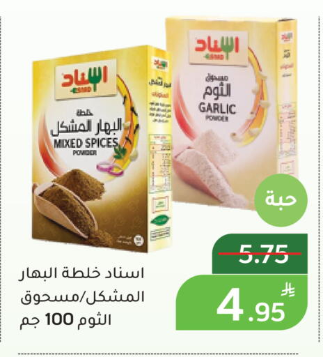 Apple Garlic available at أسواق جرين أبل in مملكة العربية السعودية, السعودية, سعودية - الأحساء‎