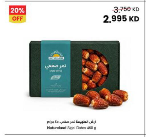 Date available at The Sultan Center in Kuwait - Kuwait City