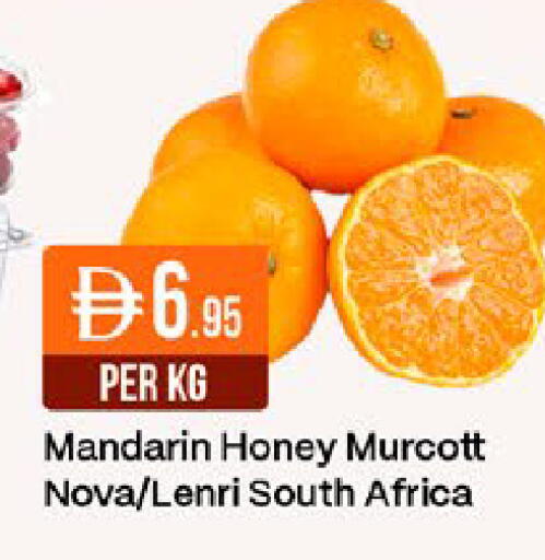 Mandarin from South Africa available at ويست زون سوبرماركت in الإمارات العربية المتحدة , الامارات - دبي
