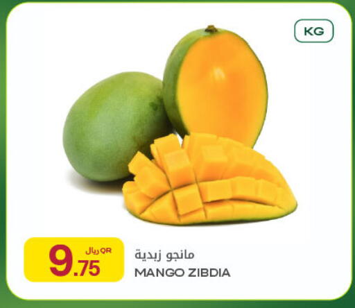 Mango available at شركة الميرة للمواد الاستهلاكية in قطر - الريان