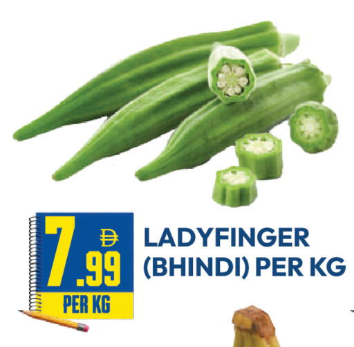 available at دريم لاند in الإمارات العربية المتحدة , الامارات - دبي