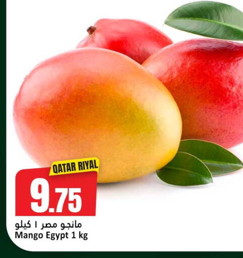 Mango from Qatar Egypt available at دانة هايبرماركت in قطر - الريان