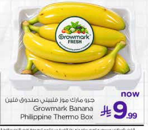 Banana from Philippines available at Hyper Al Wafa in KSA, Saudi Arabia, Saudi - Jeddah