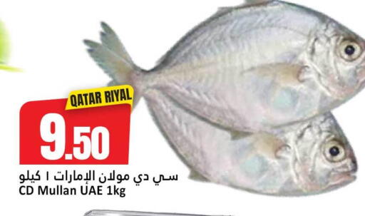 available at دانة هايبرماركت in قطر - الريان