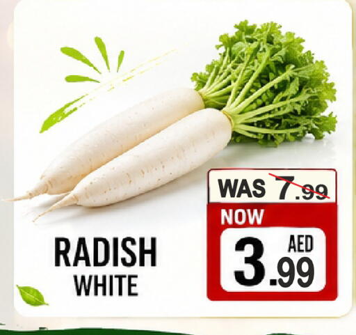 Radish available at مركز الجمعة in الإمارات العربية المتحدة , الامارات - الشارقة / عجمان