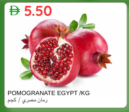 from Egypt available at سيليكت ماركت in الإمارات العربية المتحدة , الامارات - أبو ظبي