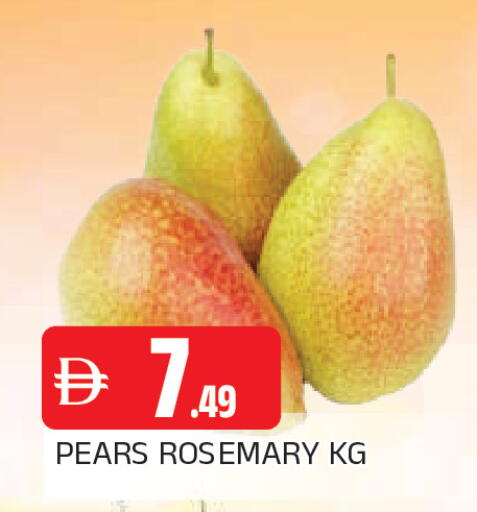 Rosemary available at المدينة in الإمارات العربية المتحدة , الامارات - الشارقة / عجمان
