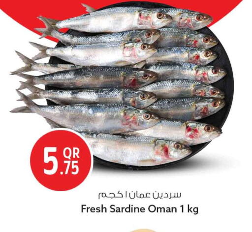 available at Safari Hypermarket in Qatar - Al Daayen