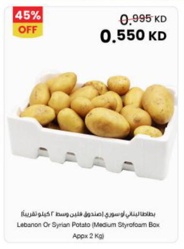 Potato from Lebanon Syria available at The Sultan Center in Kuwait - Kuwait City
