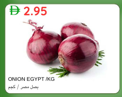 Onion from Egypt available at سيليكت ماركت in الإمارات العربية المتحدة , الامارات - أبو ظبي