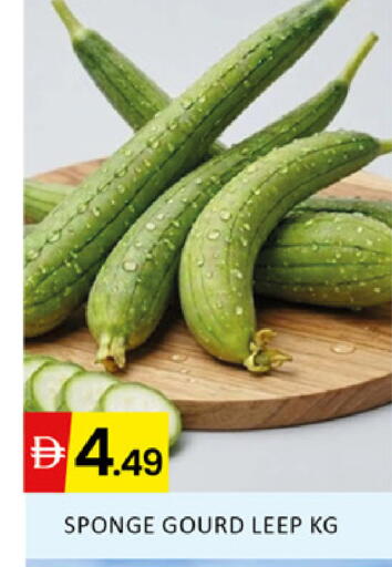 available at المدينة in الإمارات العربية المتحدة , الامارات - دبي