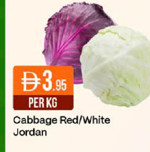 Cabbage from Jordan available at ويست زون سوبرماركت in الإمارات العربية المتحدة , الامارات - دبي