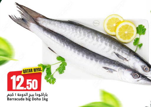 available at دانة هايبرماركت in قطر - الريان