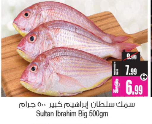 available at Ansar Mall in UAE - Sharjah / Ajman