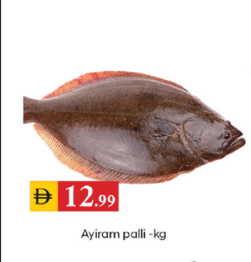 available at سوق طلال in الإمارات العربية المتحدة , الامارات - الشارقة / عجمان