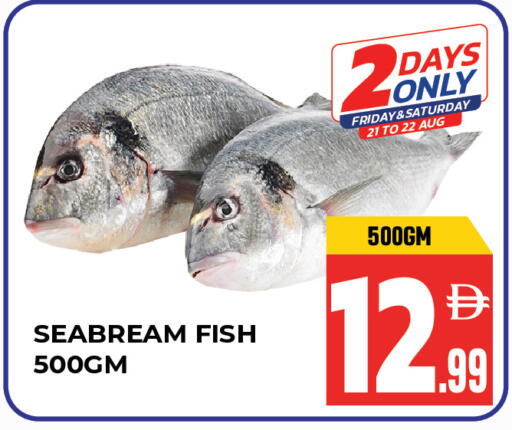 available at Dream Land in UAE - Sharjah / Ajman