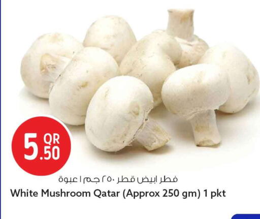 Mushroom from Qatar available at سفاري هايبر ماركت in قطر - الشحانية